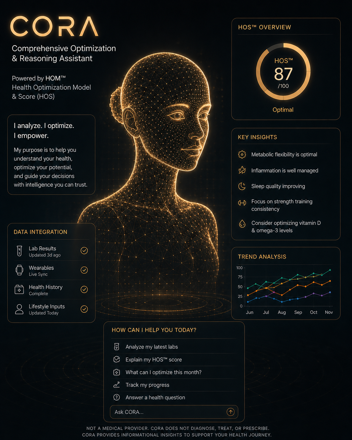 CORA — comprehensive optimization and reasoning assistant, grounded in your own data